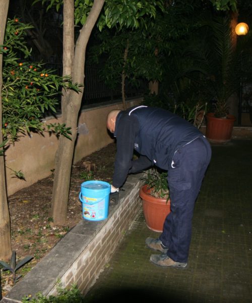 Foto derattizzazioni (2)