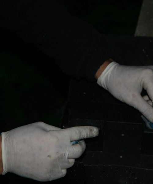 Foto derattizzazioni (3)